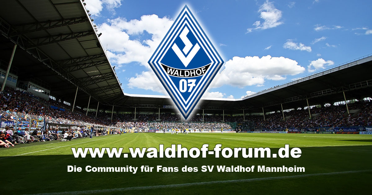 Waldhof Mannheim: From 6,000 to 10,000 Fans in Carl-Benz-Stadion